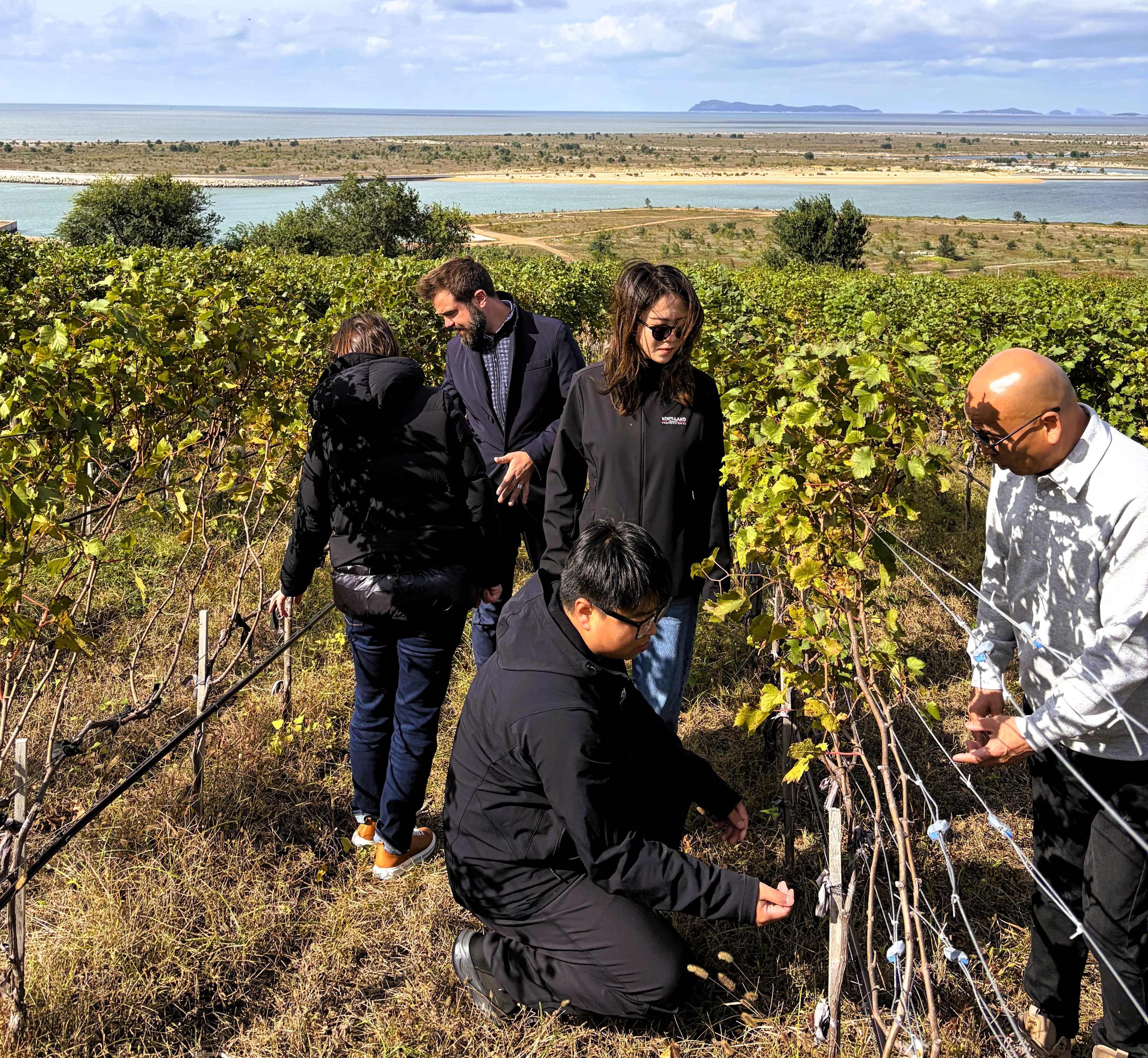 highlight article image