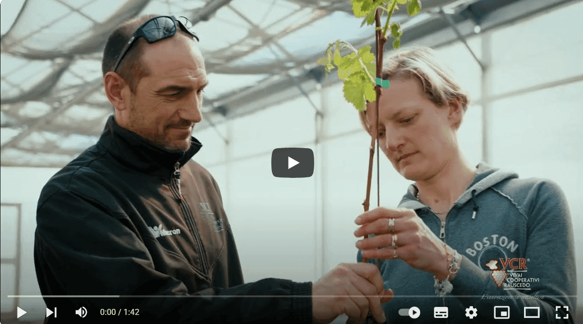 highlight article image